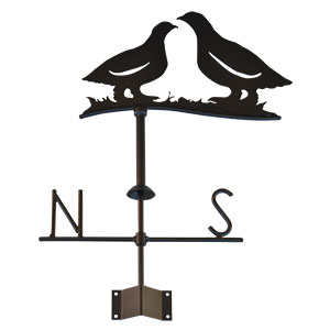 V&aelig;rhane ryper med nord - sydkompass